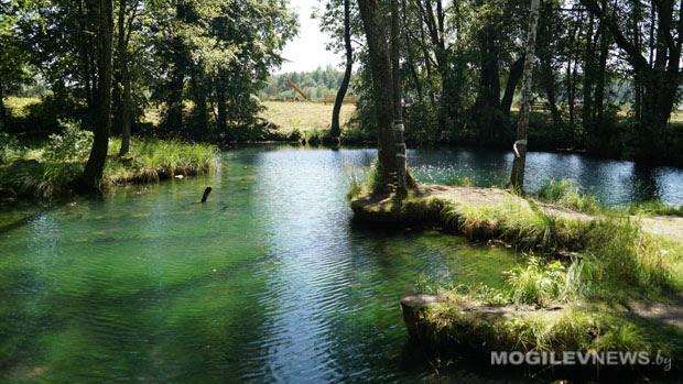 Акция «Отдых без вреда природе» пройдет с 8 июля по 8 августа