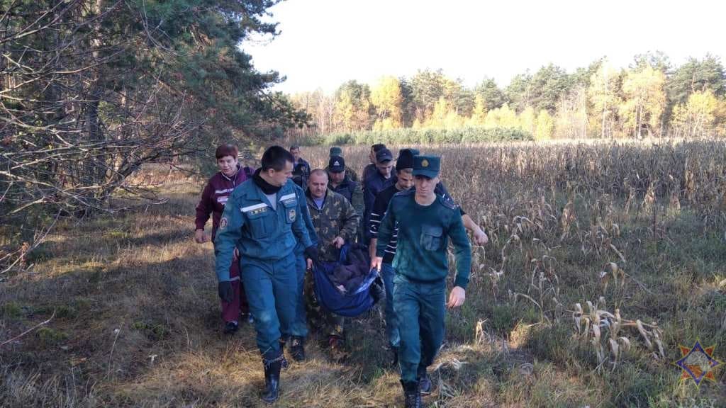 Четыре  ночи провела в лесу жительница Глусского района