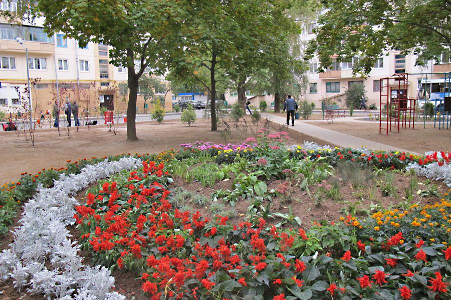 Принять участие в конкурсе на лучшее цветочное оформление приглашают могилевчан