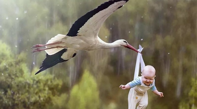 21 малыш родился  в августе и сентябре на Кировщине