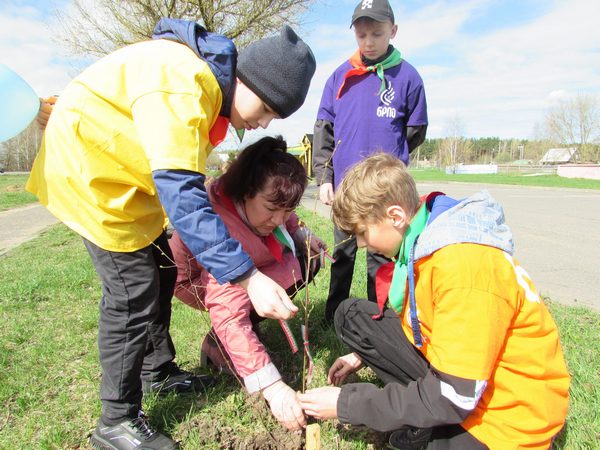 Аллею поколений высадили в Глуше Бобруйского района