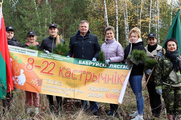 В последний день акции «Аднавім лясы разам!» в Бобруйском лесхозе посажены сеянцы сосны на площади свыше 4 гектаров