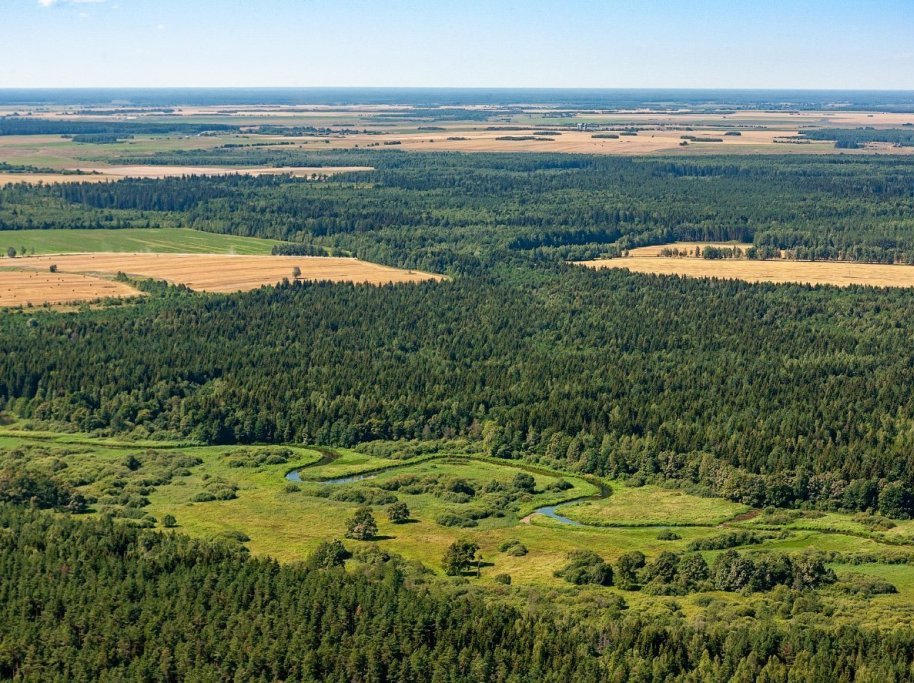 Ландшафтный заказник «Старица» Быховского района преобразован в республиканский