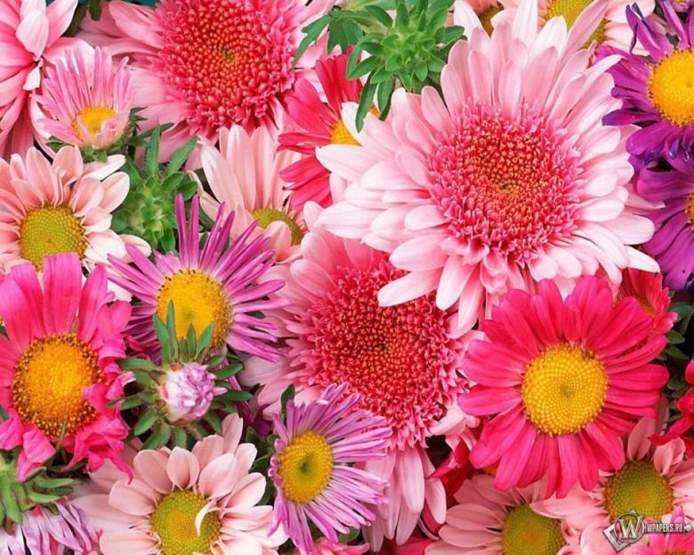 Поздравление с Днем работников культуры