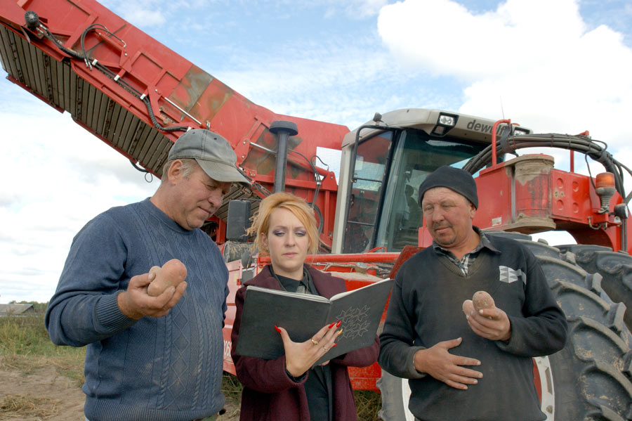 Активно идет уборка картофеля в районах Могилевской  области. Фото