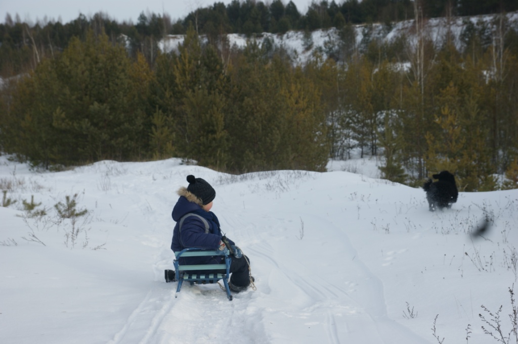 Оранжевый уровень опасности объявлен по Могилеву на 20 января