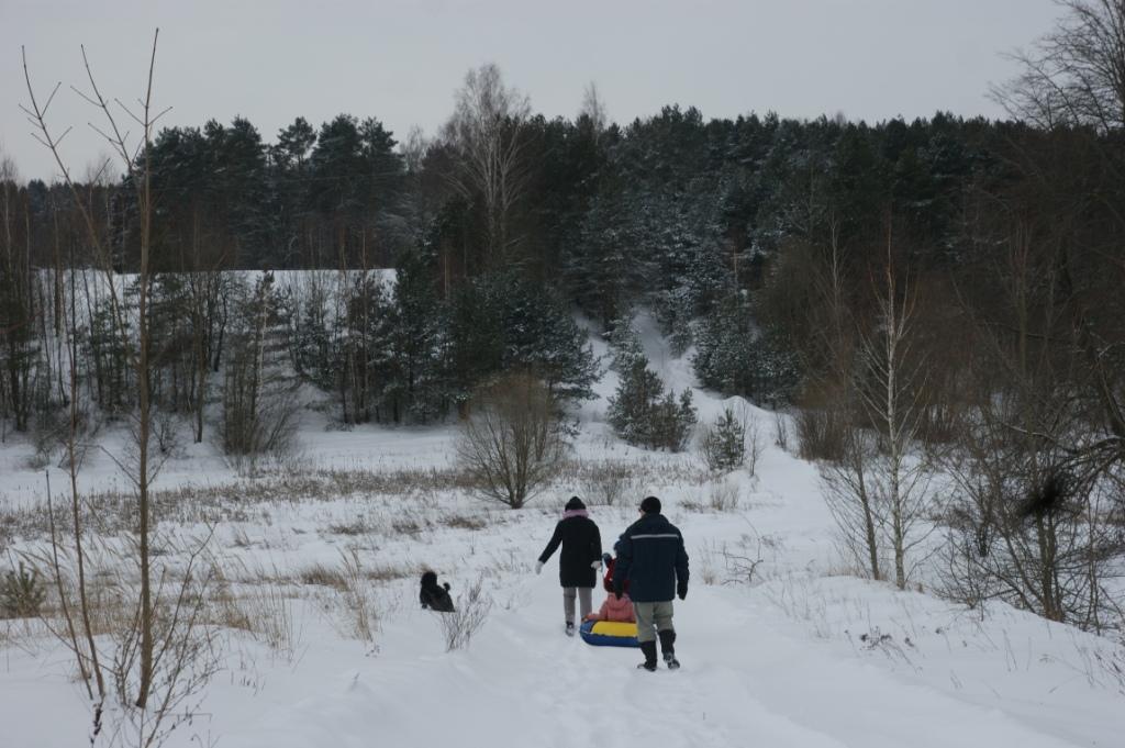 Ветрено, местами снежно и небольшие перепады температуры ожидаются в первой половине недели в Могилевской области