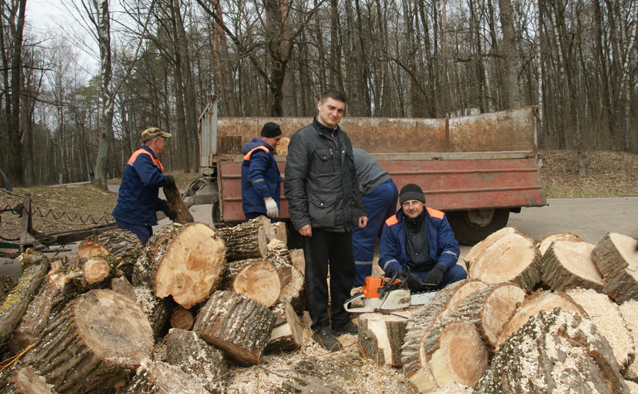В Печерском лесопарке Могилева идут  работы по благоустройству