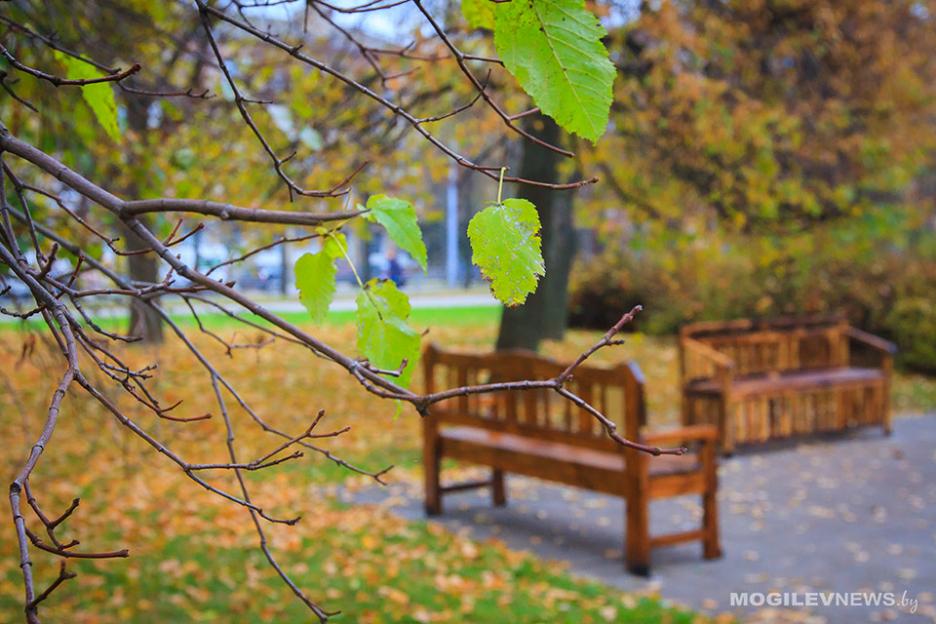Погода на неделю: немного дождей, туман и до +13°С днем