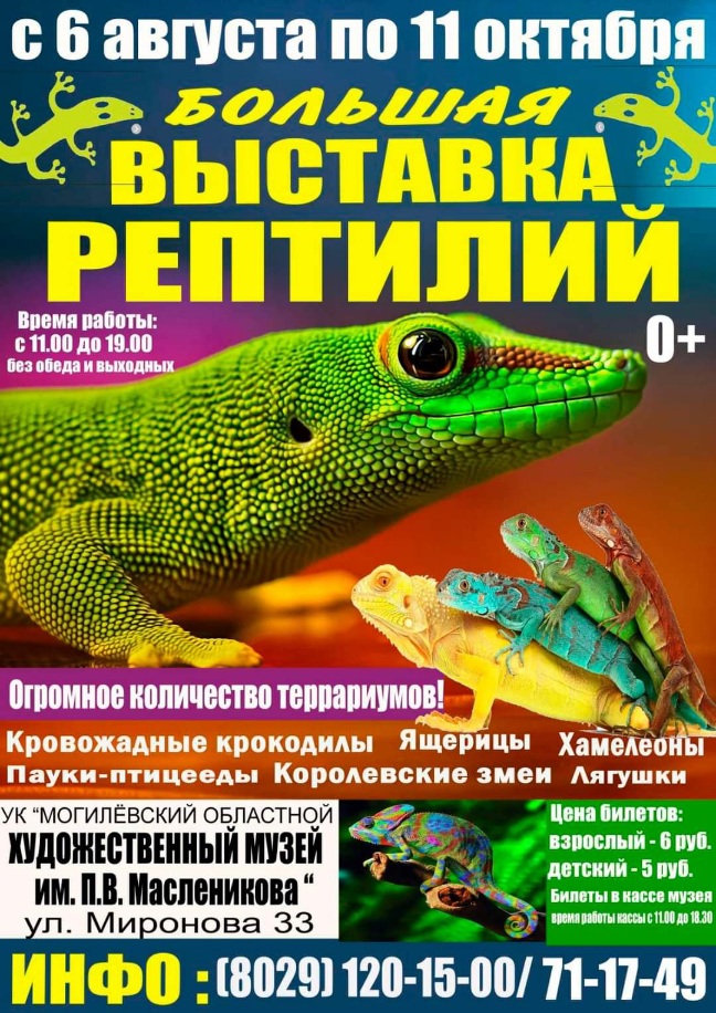 Большая выставка рептилий работает в Могилеве по 11 октября