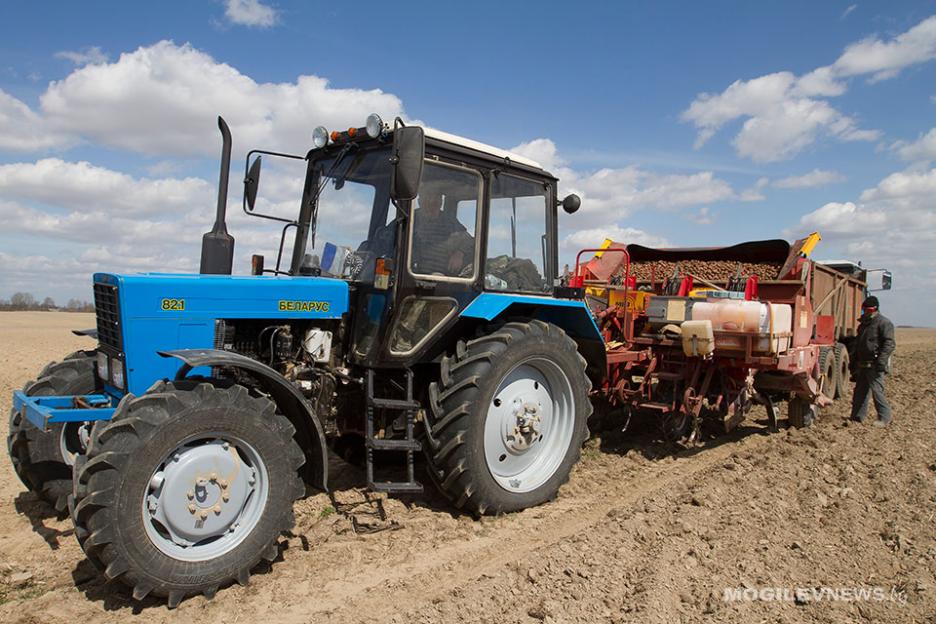 Белорусские аграрии высадили картофель на 81,3% площадей