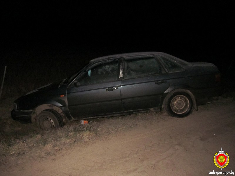 Одорологическая экспертиза помогла доказать причастность к угону автомобиля в Хотимске