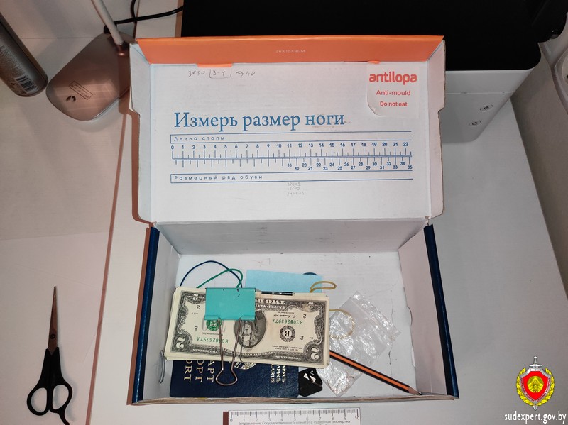 Гости 16-летней бобруйчанки украли деньги ее отца