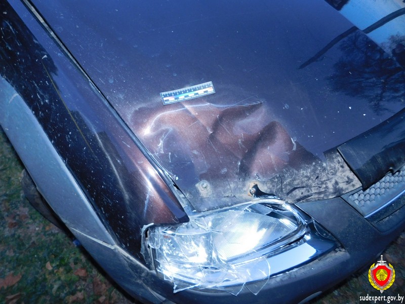 По осколкам на месте ДТП установили причастность водителя к наезду на пешехода в Хотимске