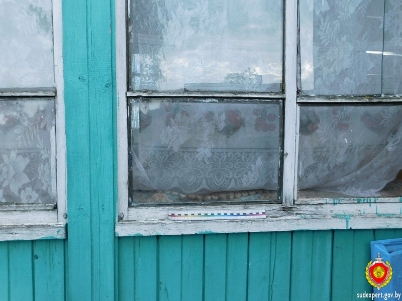 Односельчанин через окно похитил у жительницы Климовичского района мясо и тушёнку