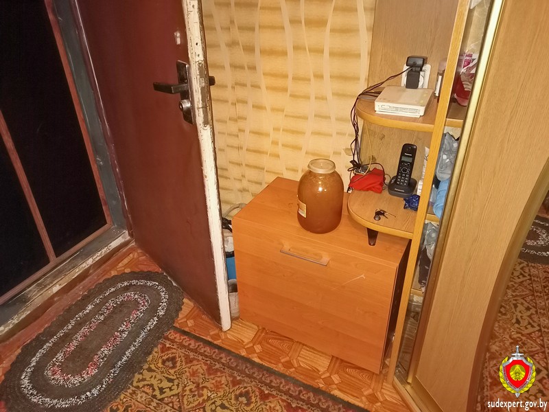 Могилевчанку, обокравшую 84-летнюю пенсионерку, нашли по следу пальца