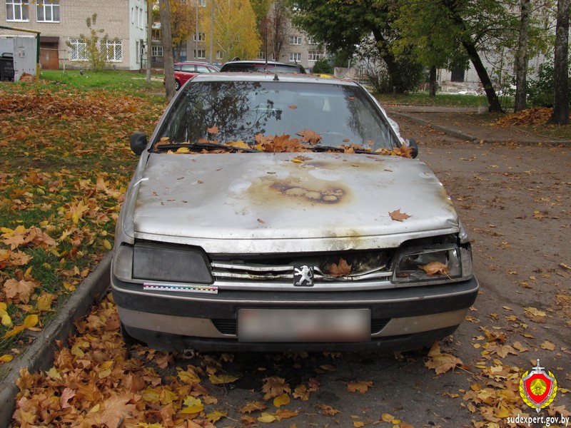 Эксперты установили причину пожара в автомобиле в Могилеве