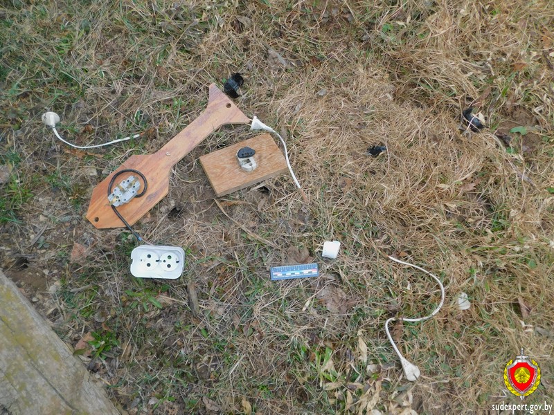 Серию дачных краж раскрыли в Шкловском районе