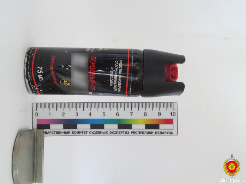 Житель Горок беспричинно распылил слезоточивый баллончик в лицо незнакомцу