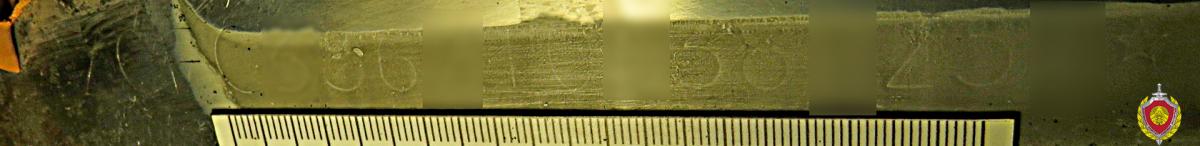 Судебные эксперты помешали преступным планам бобруйчанина по легализации автомобиля