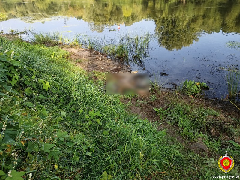 Труп пропавшего без вести жителя Хотимского района нашли в Днепре