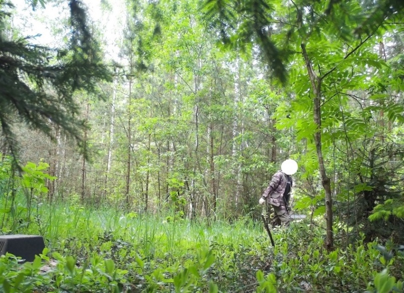 Очередного нарушителя помогла установить фотоловушка в Могилевском лесхозе