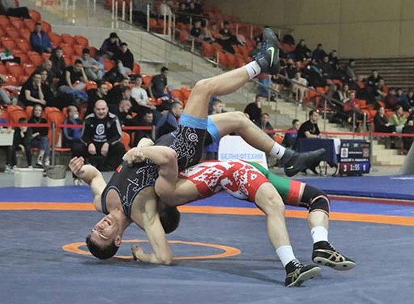 Представители Могилевской области выиграли награды на первенствах Беларуси по вольной и греко-римской борьбе