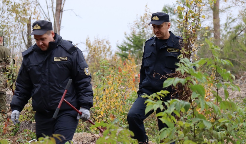 Могилевские следователи высадили молодые деревья ели и березы на территории Чаусского лесхоза