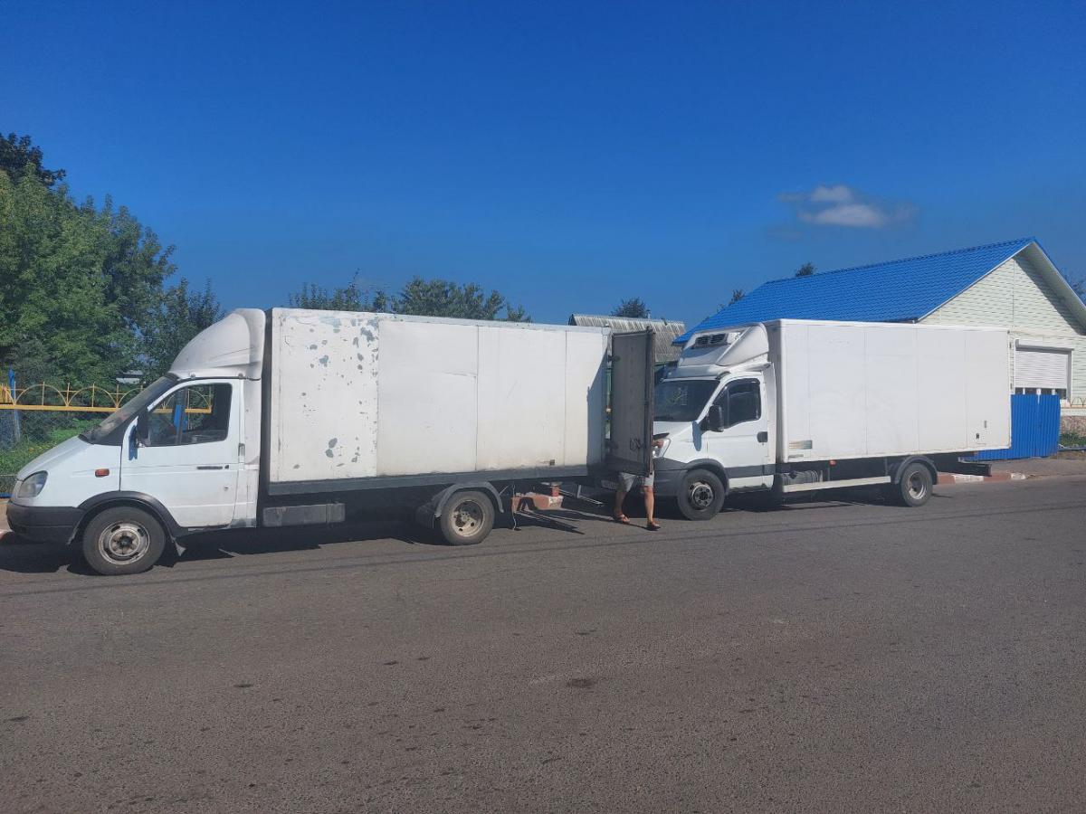 Вывоз около 6 тонн овощей без документов пресекла Могилевская таможня