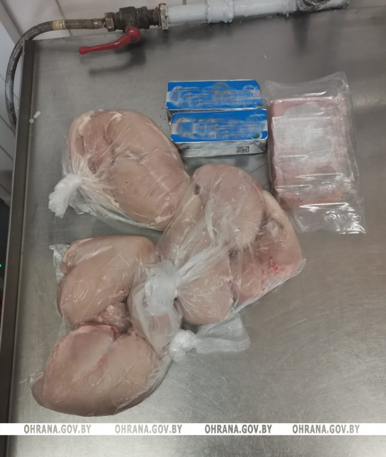 Жительница Могилевского района похитила продукты питания из столовой школы