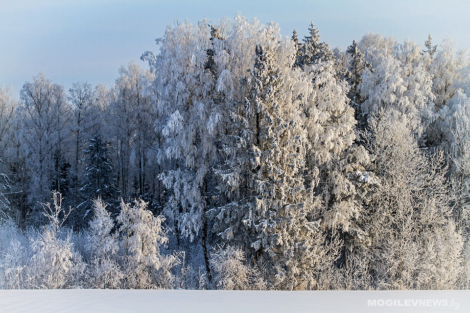 До двух декадных норм осадков выпало за сутки в Могилевской области