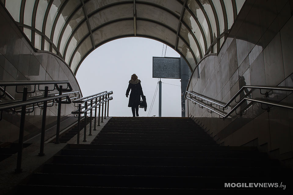 До +15°С ожидается в первой половине недели следующей недели в Могилевской области