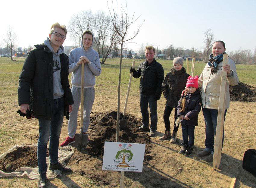 Проект "Парк семейный деревьев" продолжает реализовываться в Могилеве
