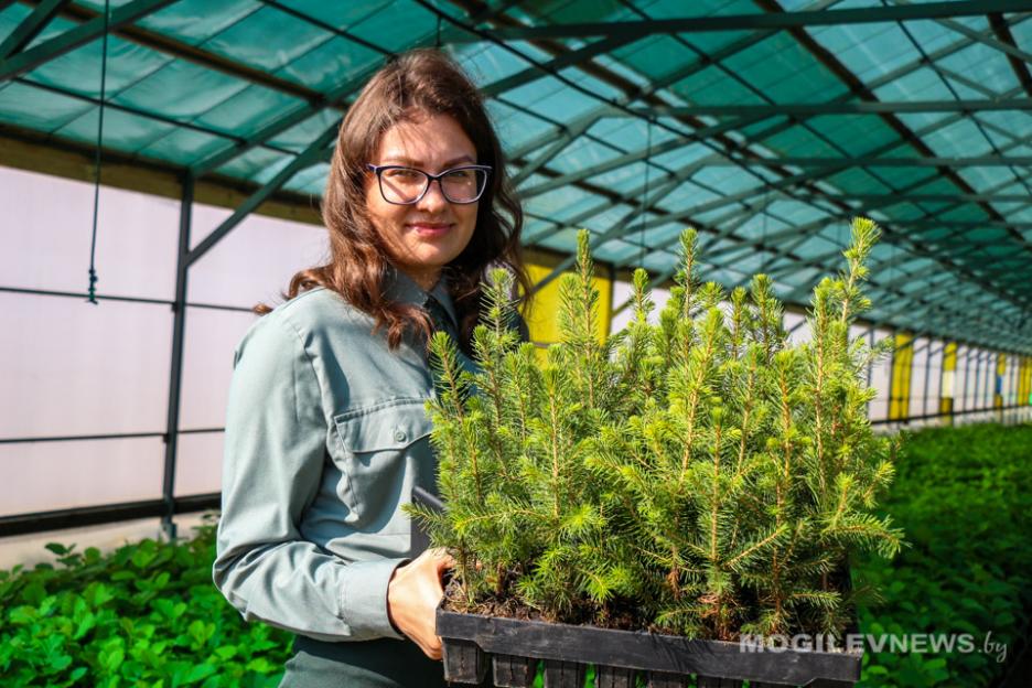 Флешмоб #ЛесМолодежь запустил Минлесхоз