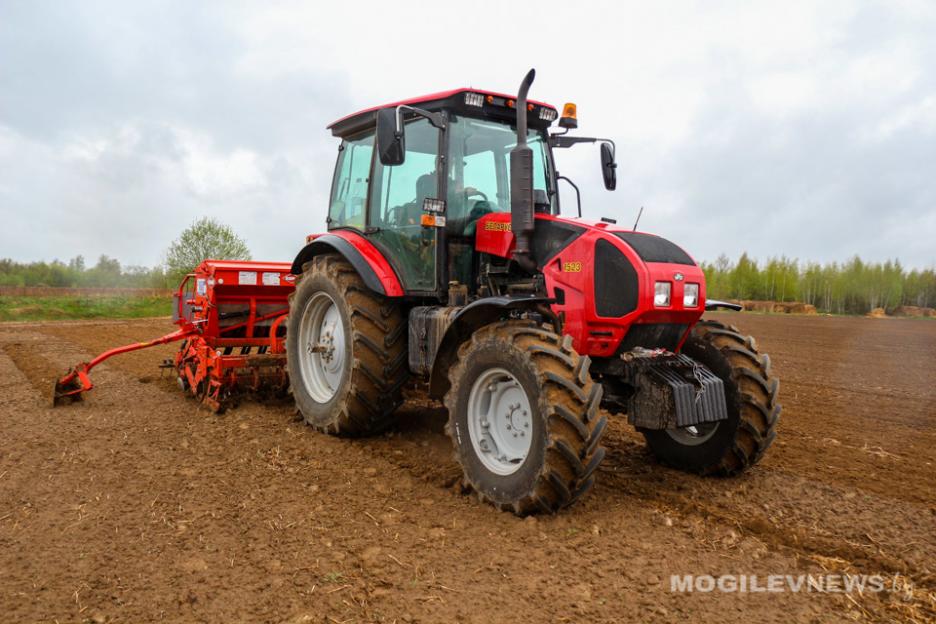 В Беларуси ранние яровые посеяны на 74,1% площадей