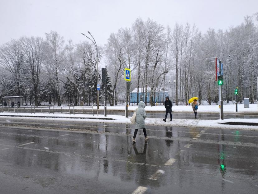 Оранжевый уровень опасности из-за сильного ветра объявлен в Могилевской области на 20 октября