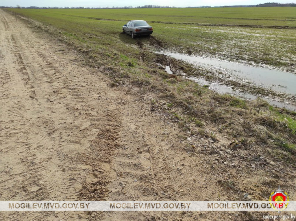 Житель Кричевского района угнал «Ауди» у односельчанина