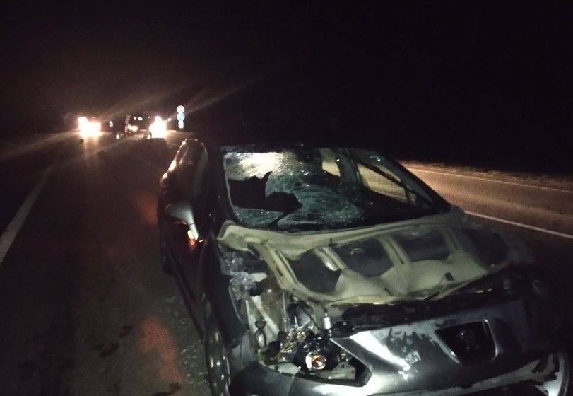В Осиповичском районе пешеход погиб в результате ДТП