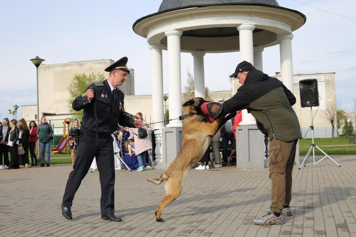 Районный праздник прошел в Молодежном парке Бобруйска