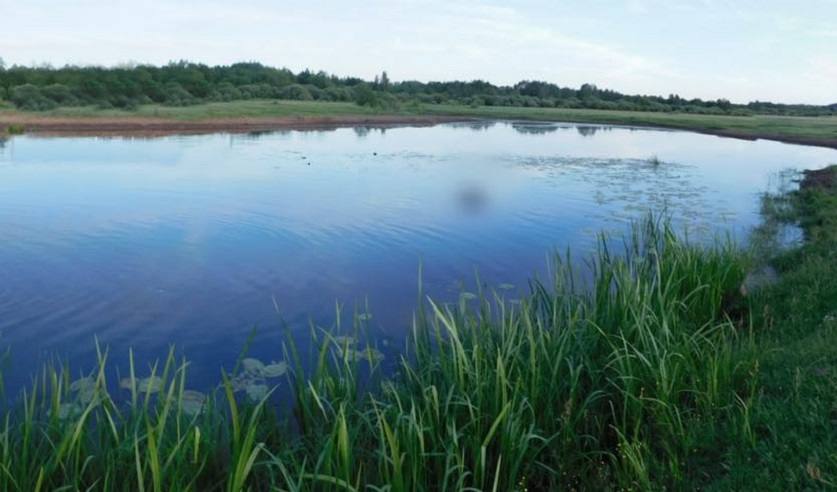 В Климовичском районе утонул подросток  - хотел искупать в озере коня