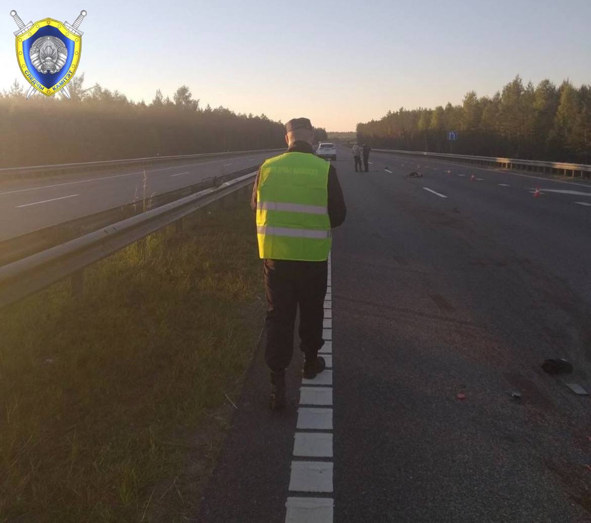 В Осиповичском районе в результате ДТП погиб пешеход, водитель скрылся