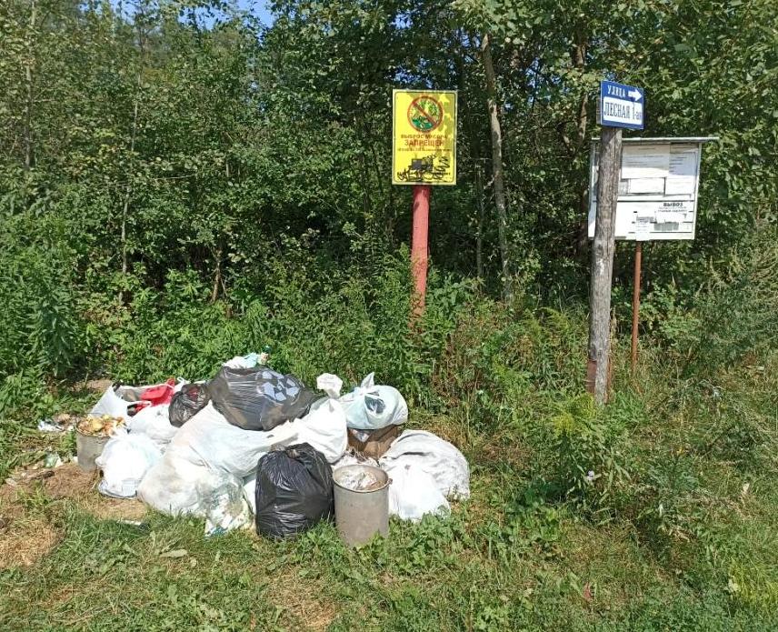 Нарушения санэпидзаконодательства выявляются при проверках почти в каждом третьем случае