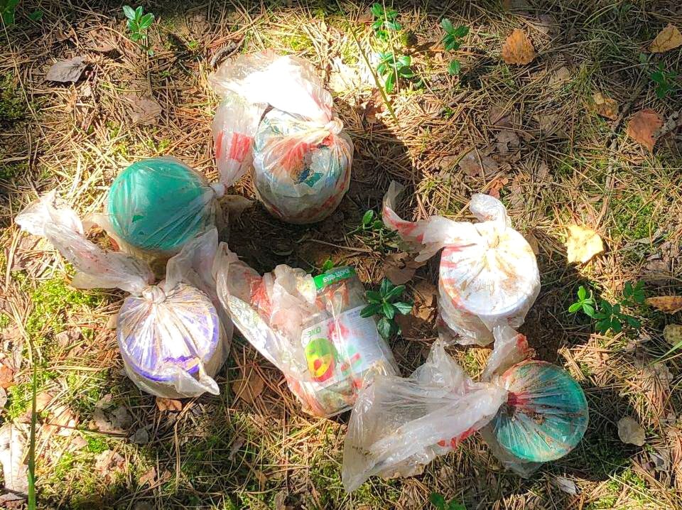 Около 700 г марихуаны изъяли могилевские оперативники