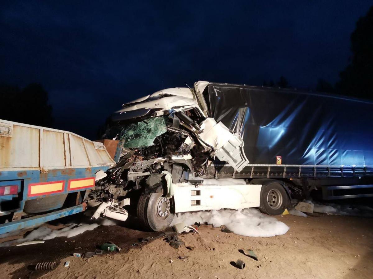 Водитель DAF погиб в ДТП в Бобруйском районе