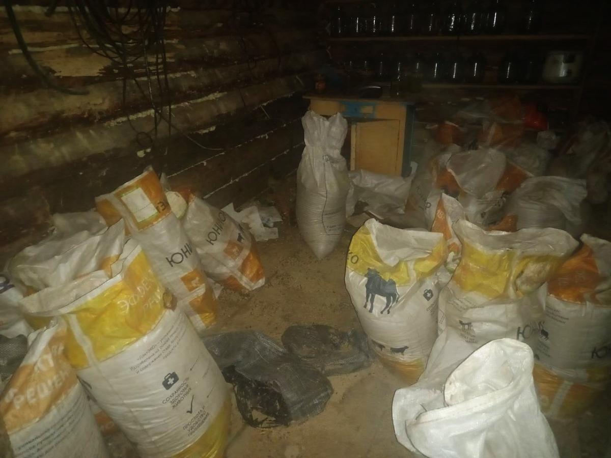 В Хотимском районе работники сельхозпредприятия похитили больше тонны комбикорма