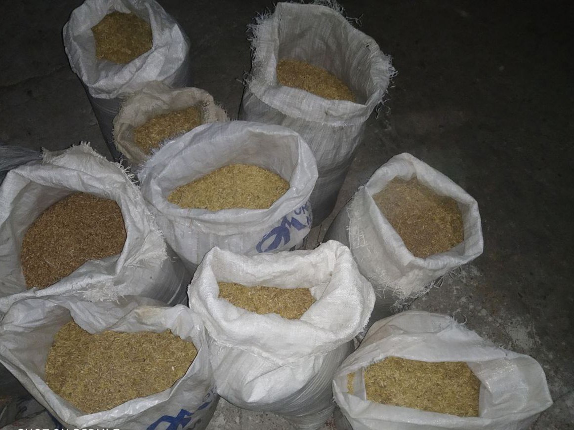 В Кричевском районе работница похищала с зерносклада зерно и удобрения