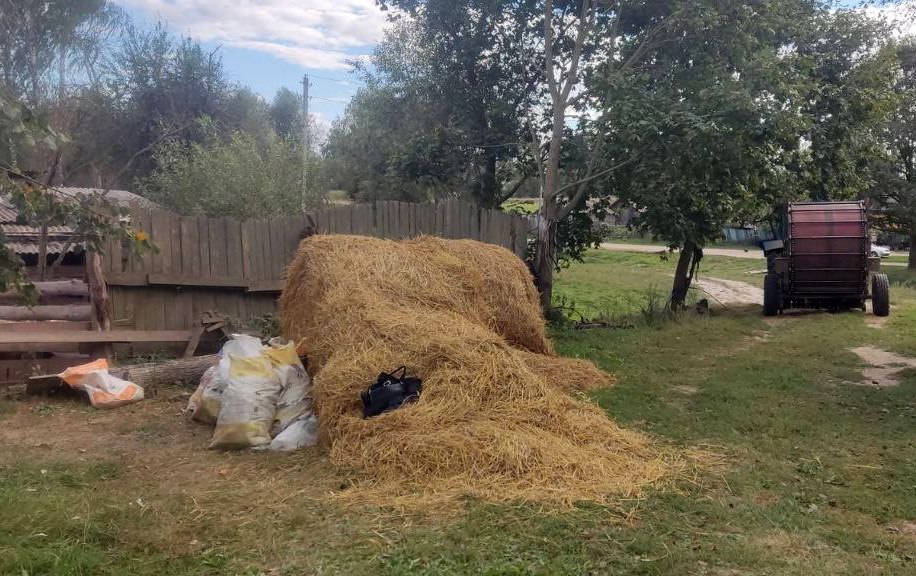 Почти 200 кг кукурузы похитил житель Чериковского района