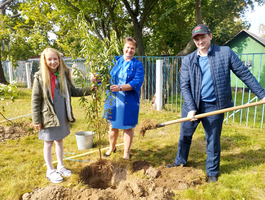 "Сад поколений"  посадили  в Пашковском учебно-педагогическом комплексе детский сад-базовая школа