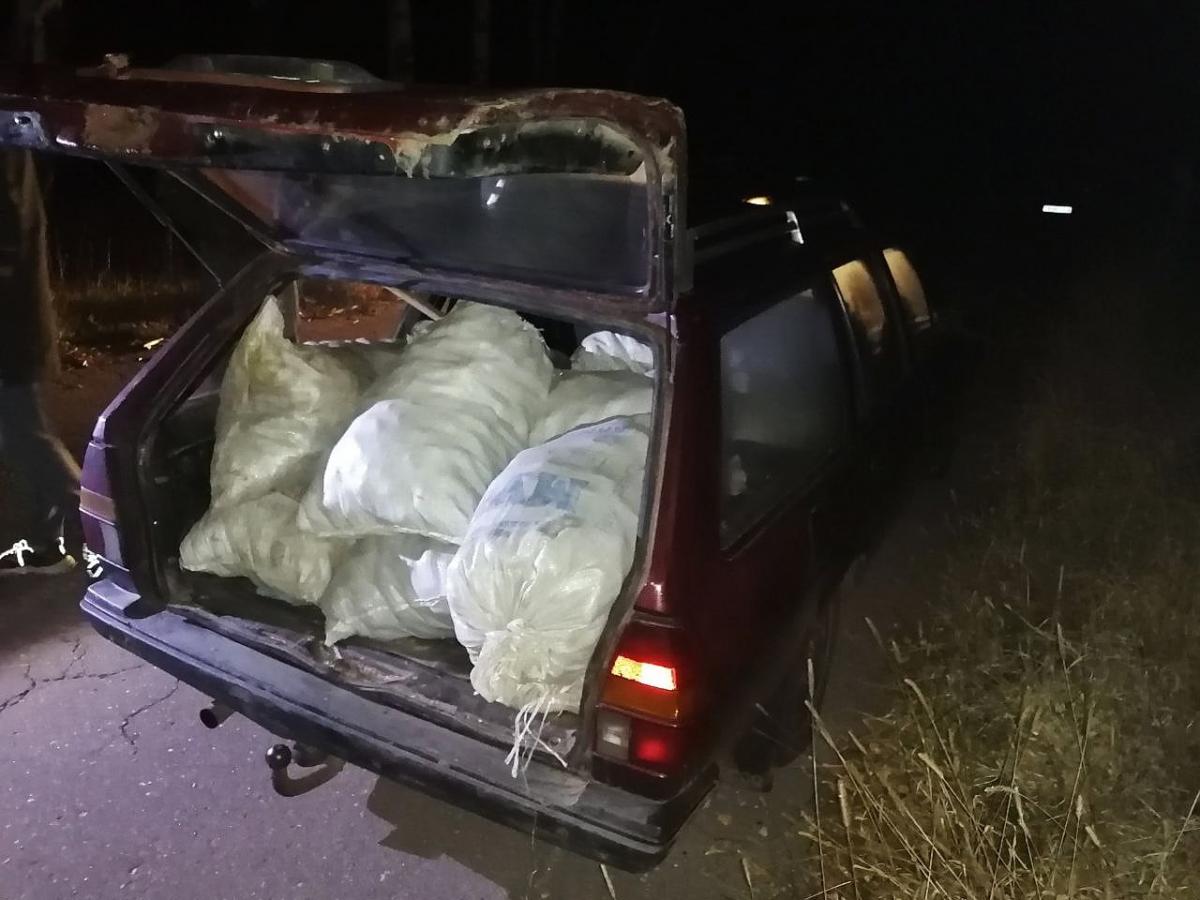 Полтонны картофеля похищено с поля в Кировском районе