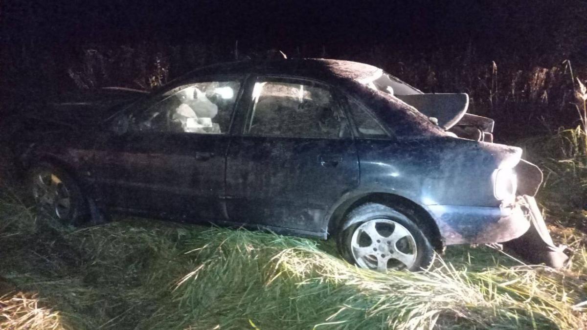 Пьяный бесправник в Славгородском районе съехал в кювет - пассажир в реанимации